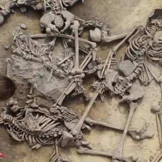 Des corps mutilés, brisés, transpercés : c'est la macabre découverte des équipes de l'Inrap (Institut national de recherches archéologiques préventives) qui ont fouillé durant plusieurs semaines une série de silos datant du Néolithique moyen, plus de 4.000 avant notre ère. © Philipe Lefranc, Inrap