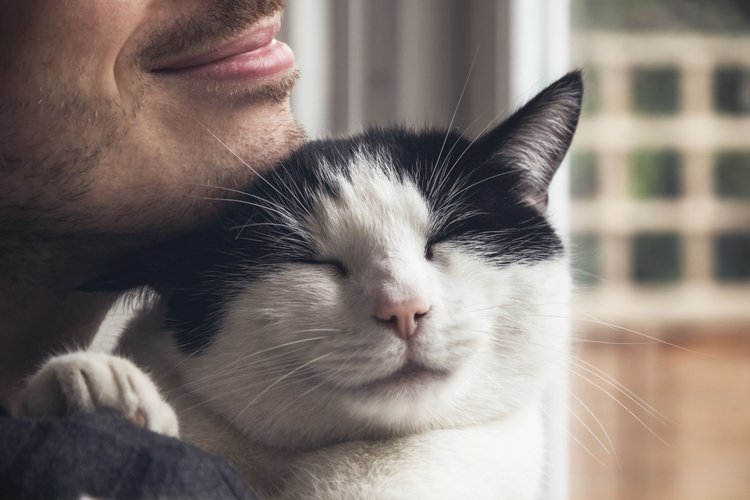 Image d'illustration représentant une personne câlinant un chat noir et blanc.