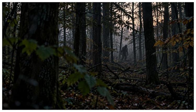 Rencontres avec le Bigfoot