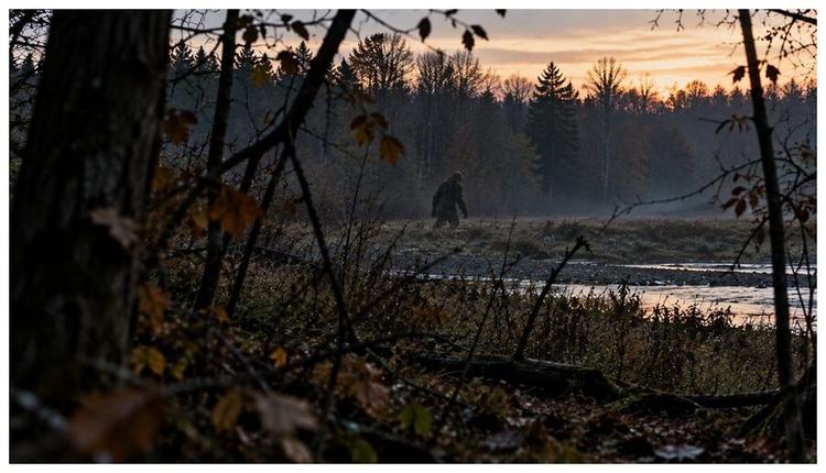 Rencontre avec le Bigfoot dans les bois de l'Ohio.